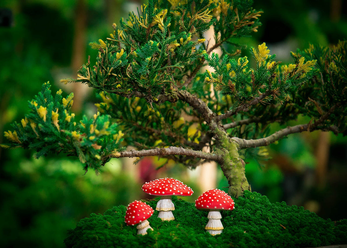 Tree Poetry mushroom decor complements terrariums, pots, and micro landscapes.