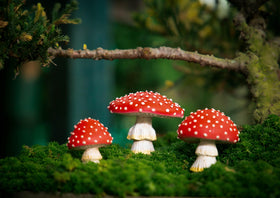 Tree Poetry fairy garden accents invite curious finds for kids and grown-ups.