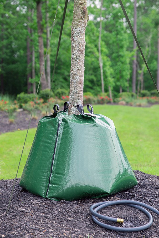 Close-up of Treegator bag slowly releasing water over several hours