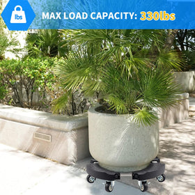 Eight locking casters ensure smooth movement and secure placement.