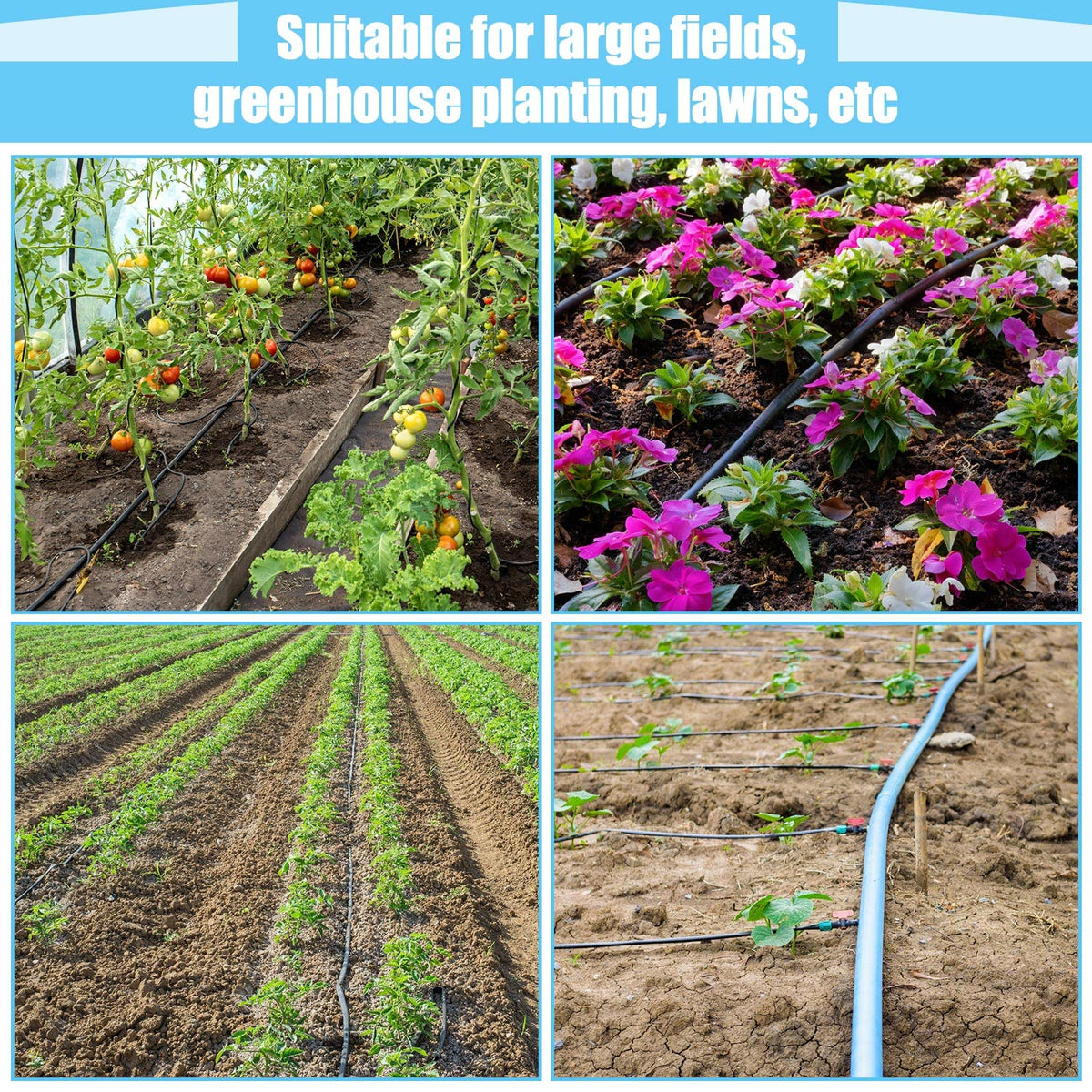 Treela drip tape demonstrates 6 inch spacing for steady moisture delivery