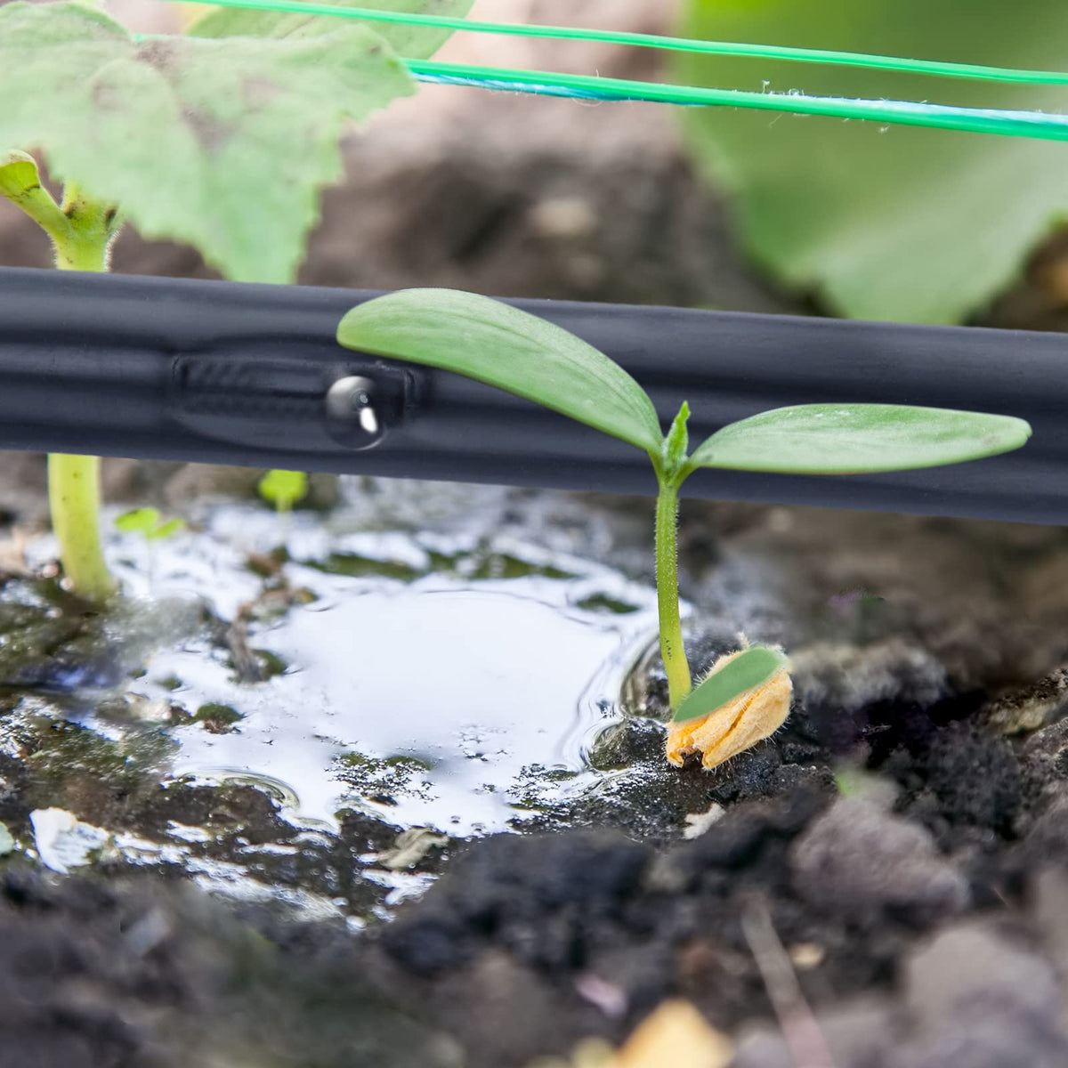 Treela easy-to-install irrigation kit for garden and beds
