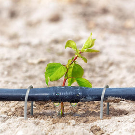 TreeLen heavy-duty stakes with angled ends ease soil penetration.