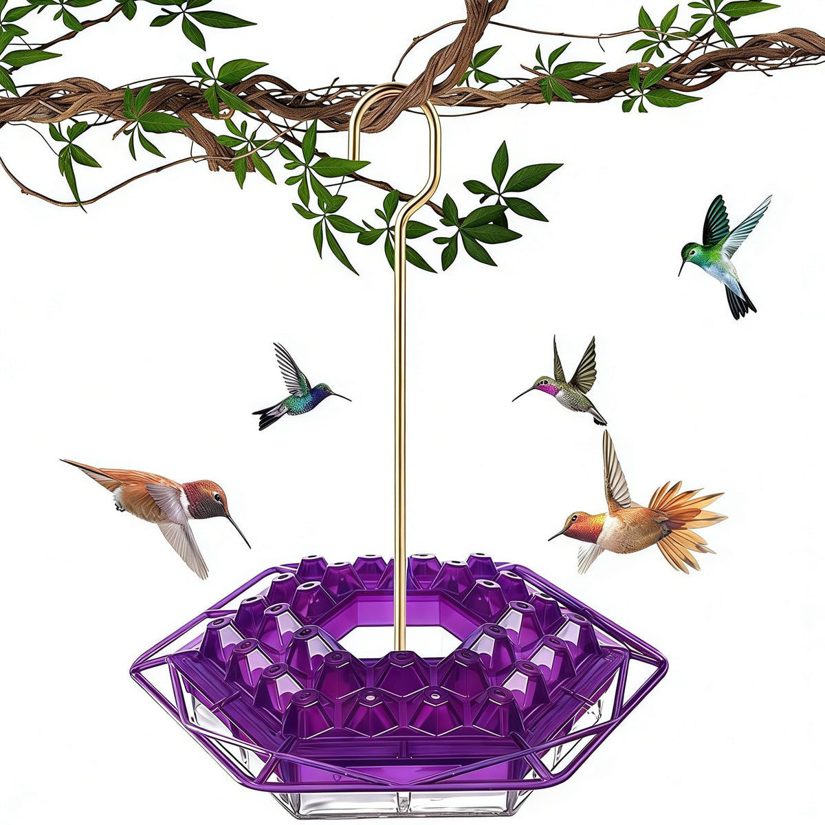 TREELYWOOD hummingbird feeder con ant proof moat deters pests and keeps nectar clean