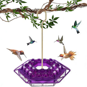 TREELYWOOD hummingbird feeder con ant proof moat deters pests and keeps nectar clean