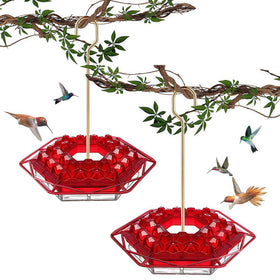 TREELYWOOD hummingbird feeder with ant-proof moat guarding nectar from ants