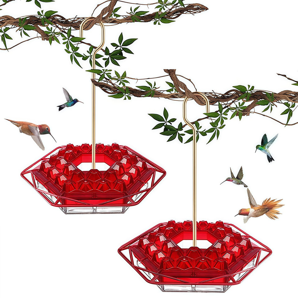 TREELYWOOD hummingbird feeder with ant-proof moat guarding nectar from ants
