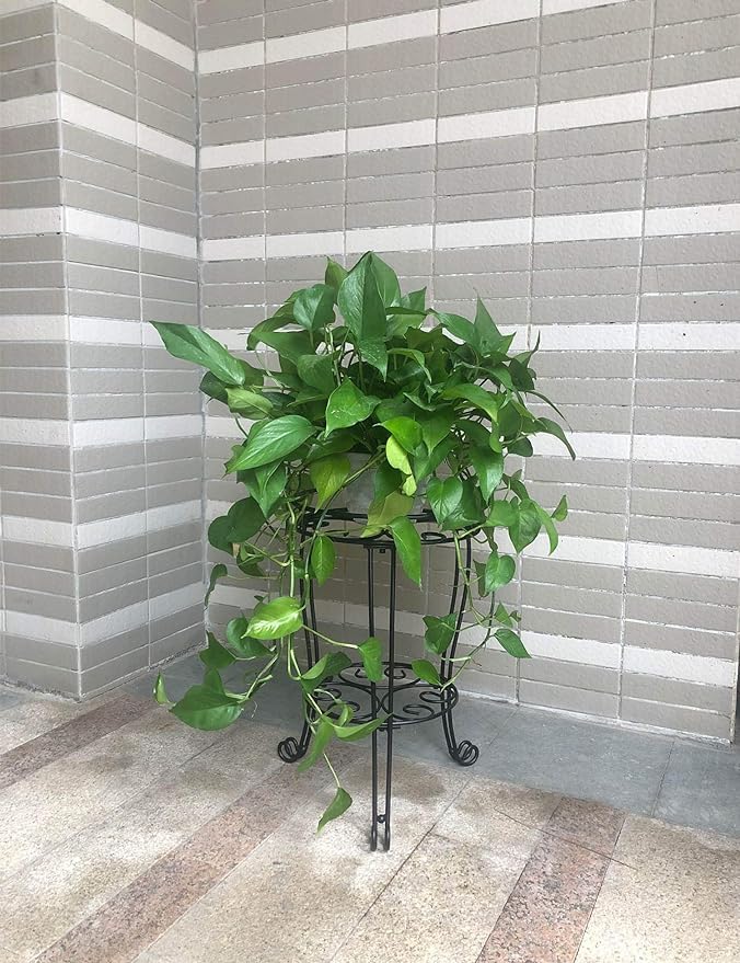 TREEZITEK anti-rust finish preserves color and longevity in sun.