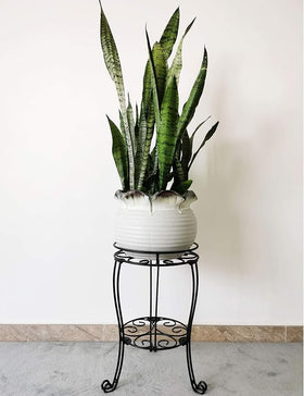 TREEZITEK plant stand top view highlights 11.8 inch diameter for wide pots.