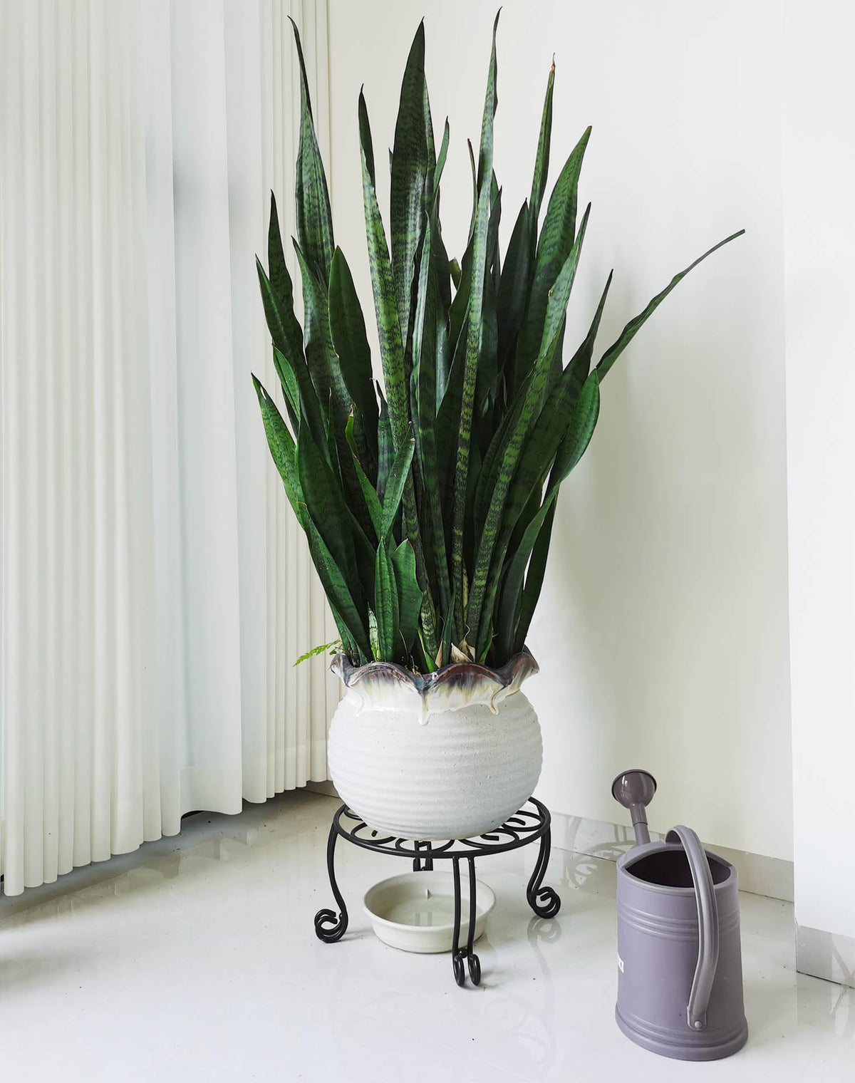 TREEZITEK round stand emphasizes 11.8-inch diameter for balanced placement.