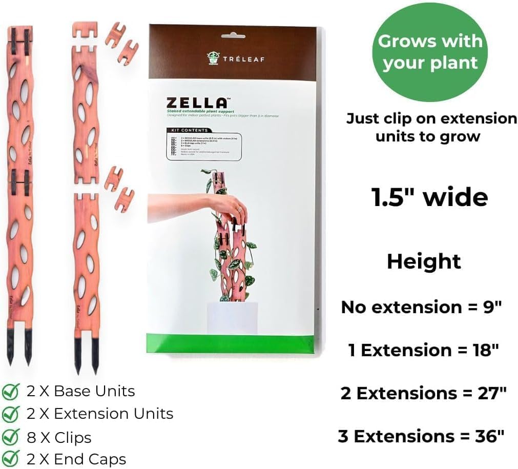 Assembled Zella trellis supports climbing vines in compact interiors