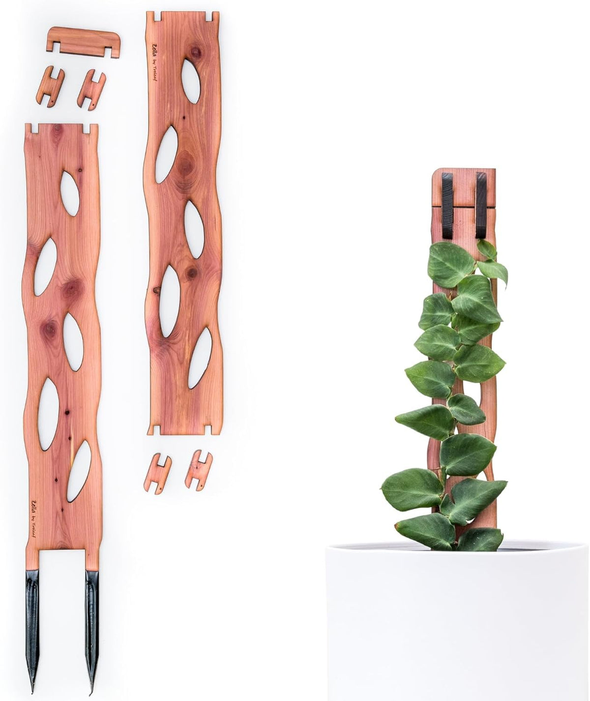 Treleaf Zella base units ready for sturdy indoor plant support