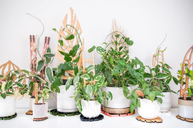 Interior setup with Zella trellis blending with decor