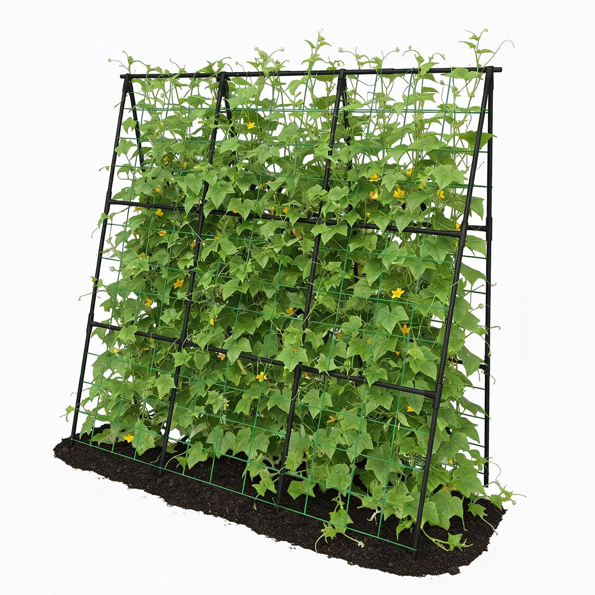 Trellume Cucumber Trellis assembly diagram for outdoor setup and space-efficient support.