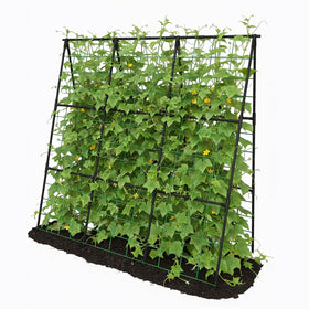 Trellume Cucumber Trellis assembly diagram for outdoor setup and space-efficient support.