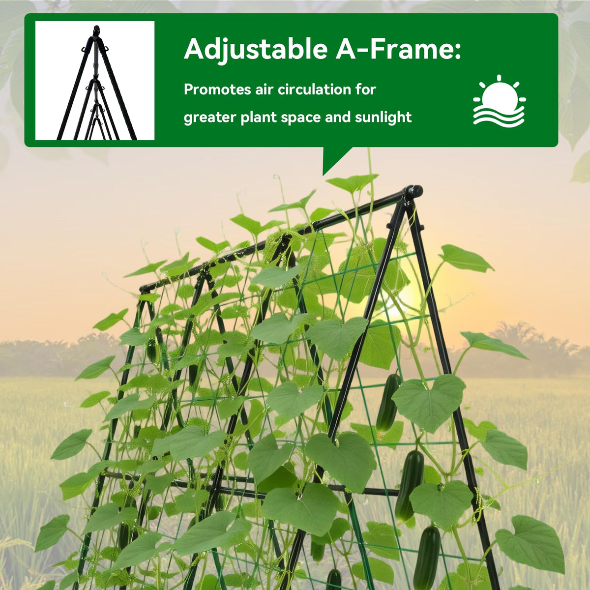 Trellume Cucumber Trellis supports climbing plants like cucumbers, peas, and roses.