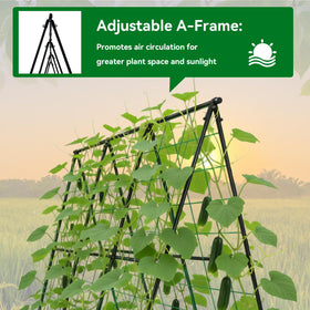 Trellume Cucumber Trellis supports climbing plants like cucumbers, peas, and roses.