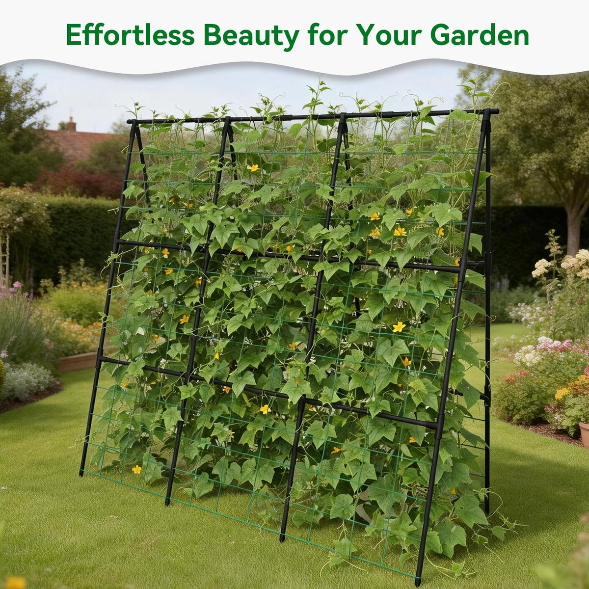 Trellume Cucumber Trellis versatile garden support for morning glories and other climbers.