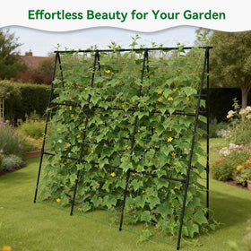 Trellume Cucumber Trellis versatile garden support for morning glories and other climbers.