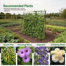 Trellume Cucumber Trellis quick assembly in about 10–15 minutes for ready use.