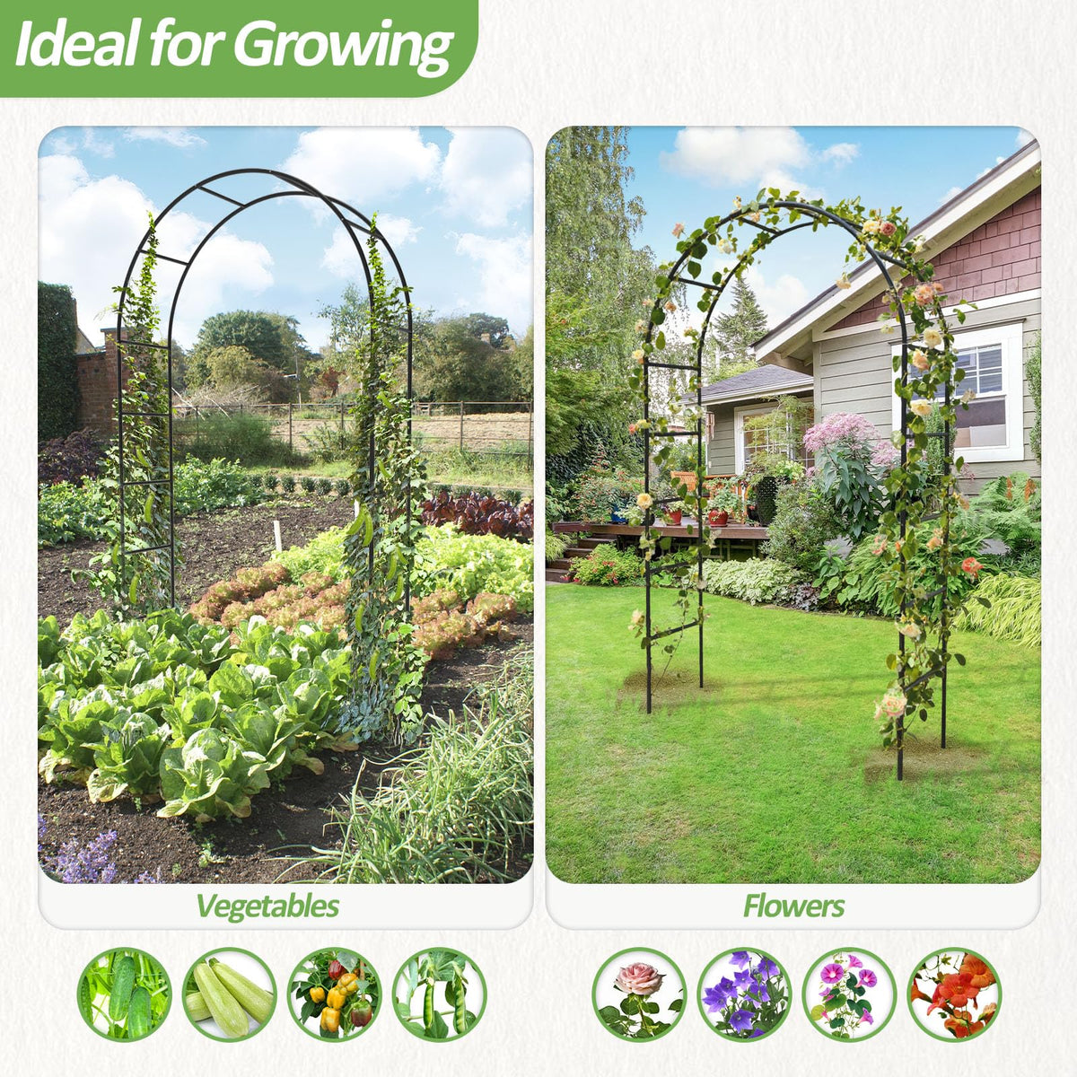 Trellume Garden Arch balloon arch stand enhances celebrations.
