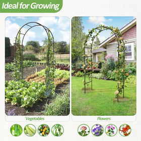 Trellume Garden Arch balloon arch stand enhances celebrations.