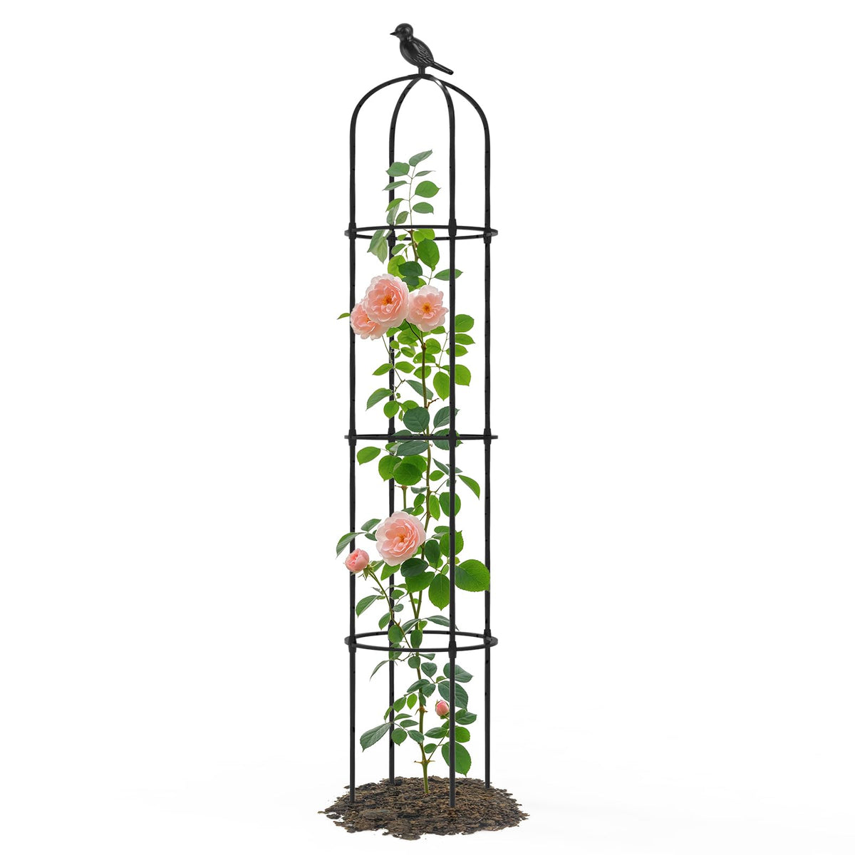 Trellume Garden Obelisk Trellis in 69 inch height provides sturdy support for climbing plants