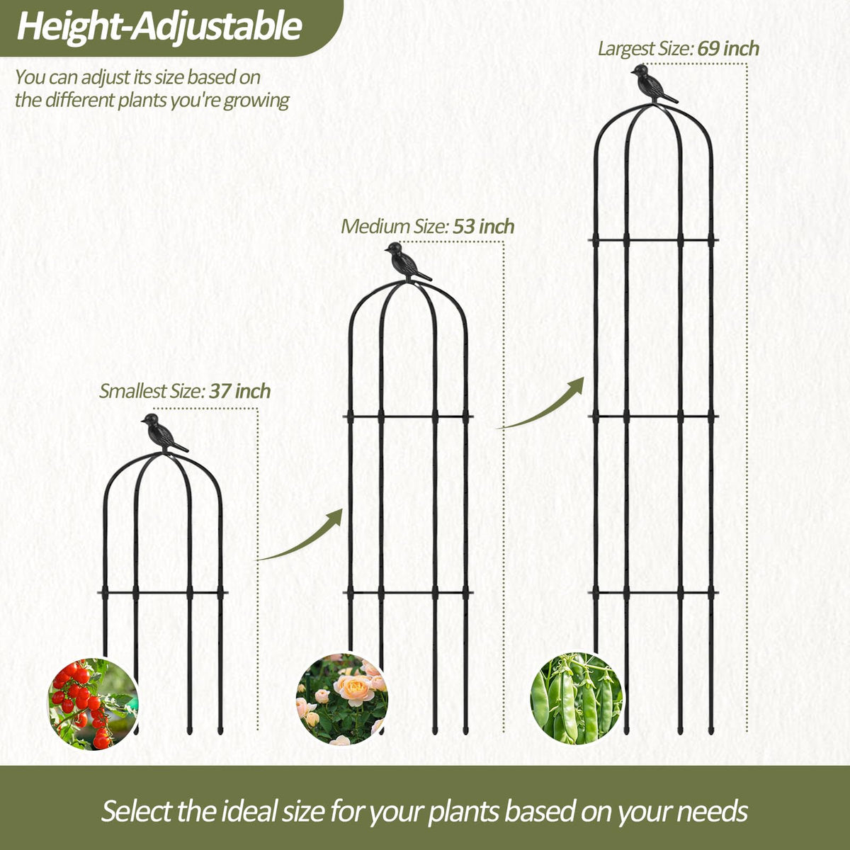 Trellume adjustable rings on obelisk trellis allow three height settings for growth