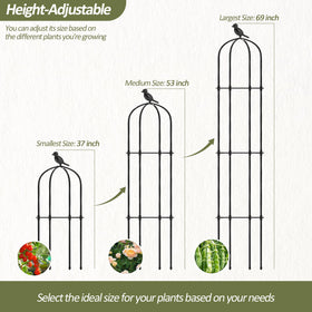 Trellume adjustable rings on obelisk trellis allow three height settings for growth