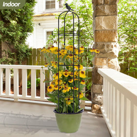 Trellume obelisk supports roses and clematis along a trellis in a garden