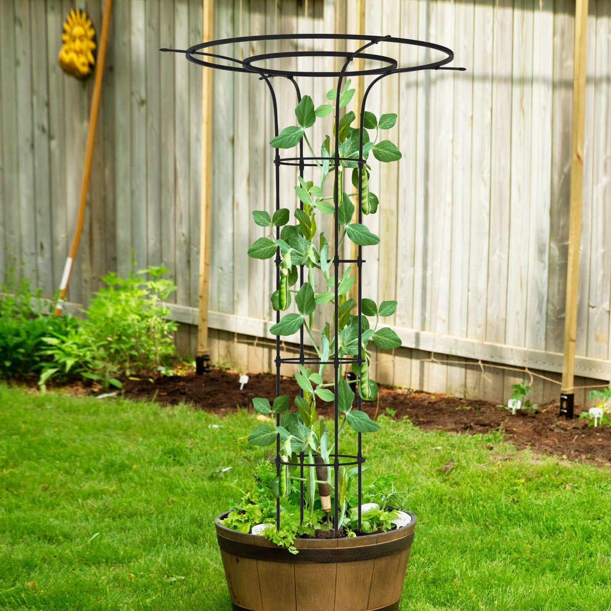 Trellume Trellis supports roses, vines, and jasmine in garden or containers.