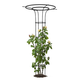 Trellume Trellis with sturdy metal construction for lasting outdoor support.