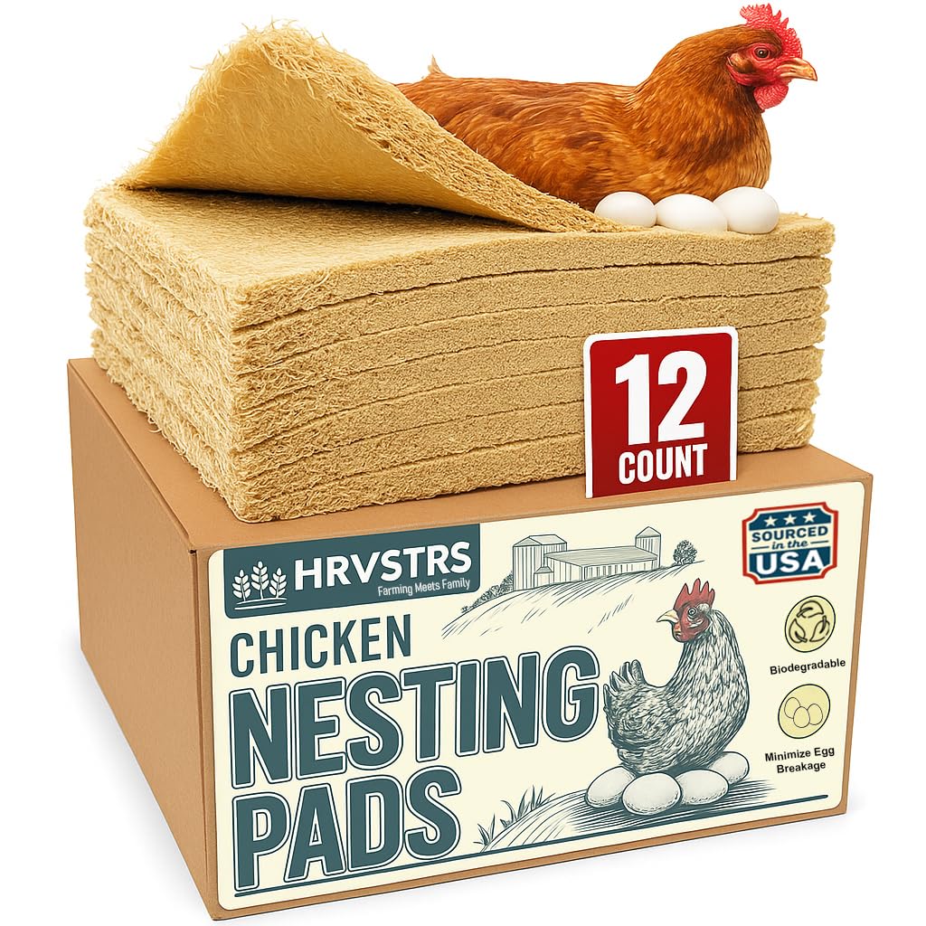 Trendiees chicken nesting pad 13x13 top view shows tidy, moisture-wicking bedding for clean eggs.