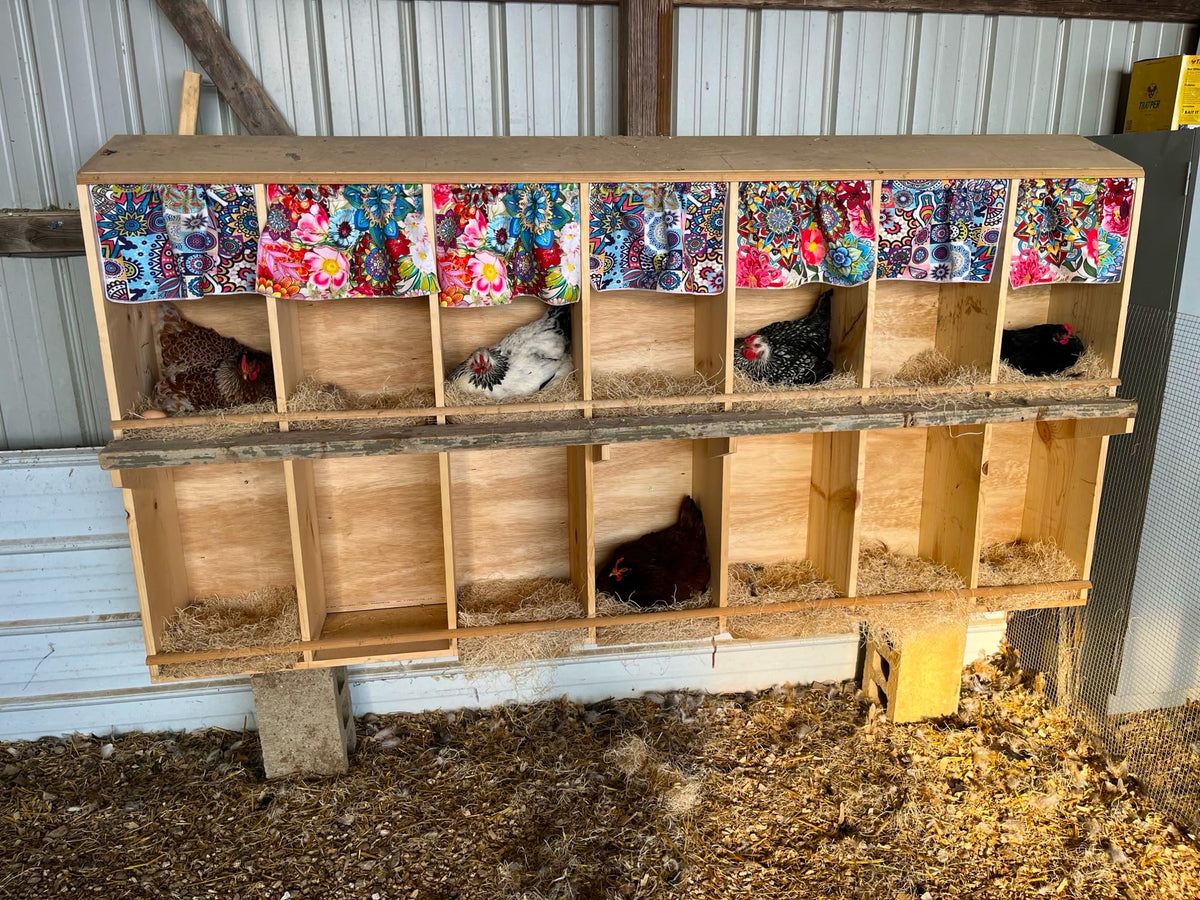 Trendiees egg protection cushion 13x13 emphasizes cushioning to reduce egg cracking during active hens.