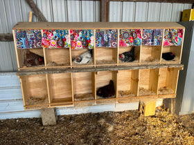 Trendiees egg protection cushion 13x13 emphasizes cushioning to reduce egg cracking during active hens.