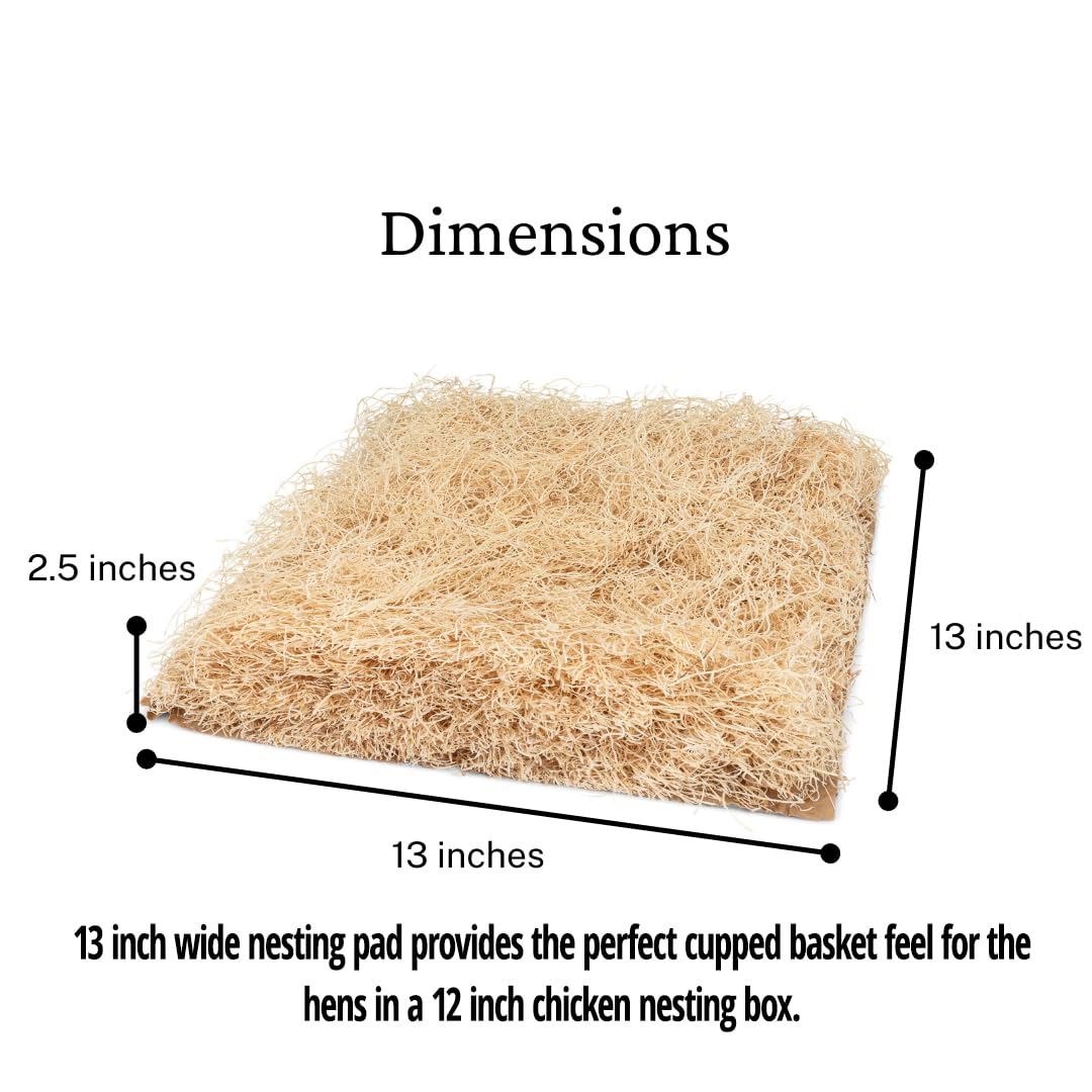 Trendiees nesting pad in coop setup demonstrates easy replacement and quick cleanup.