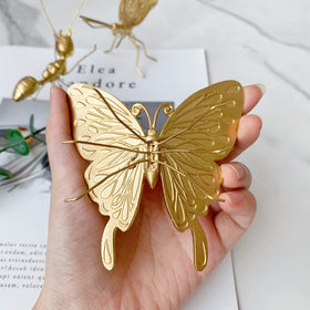 Tricune gold butterfly sculpture on office desk as an accent
