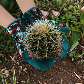Trifabricy gloves are ideal for multi-purpose garden tasks.