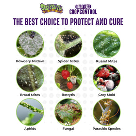 Indoor houseplants treated with Trifecta Crop Control for safer pest relief
