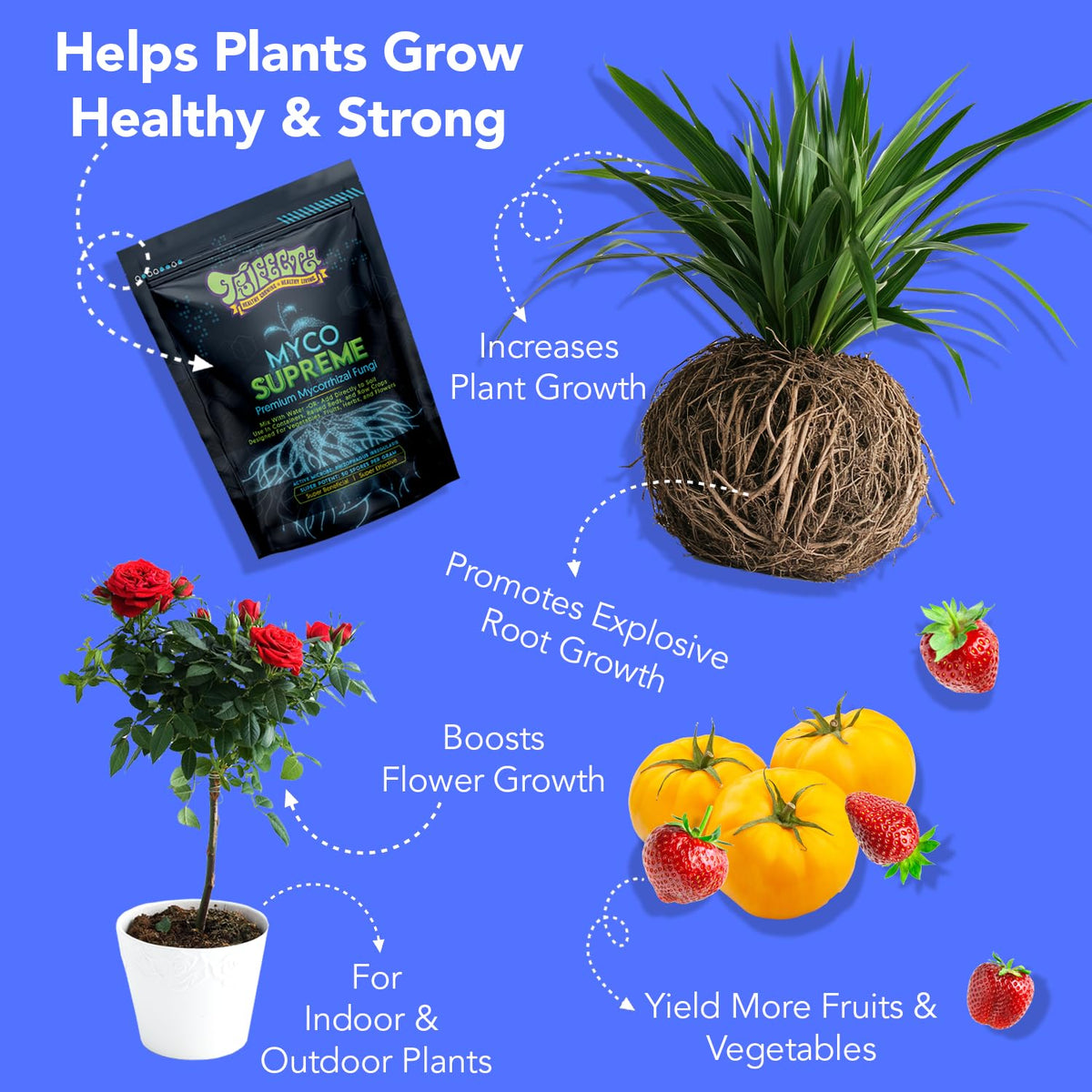 Trifecta Myco Supreme root stimulator in use, promotes larger healthier root networks