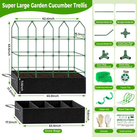 Trellis with arched top lattice promotes balanced sunlight and airflow on leaves.