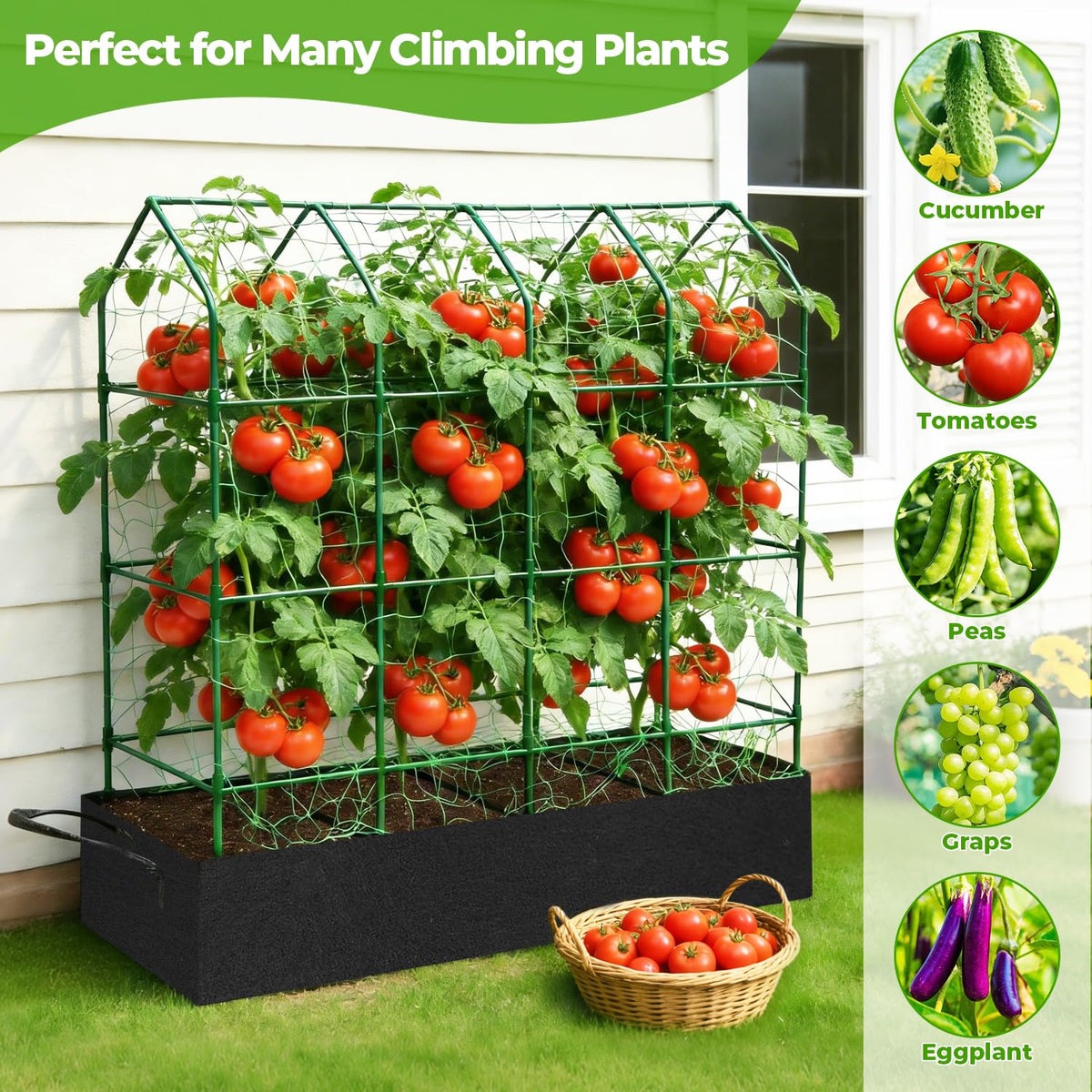 Built-in non-woven fabric bed enhances drainage and moisture retention for roots.