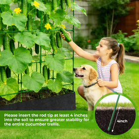 Versatile plant support for cucumbers, peas, tomatoes, grapes, and more climbers.