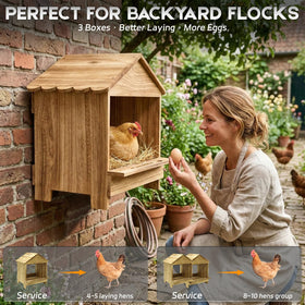 TRINFREE farmhouse-style decor adds rustic charm while keeping hens safe in a cozy coop.