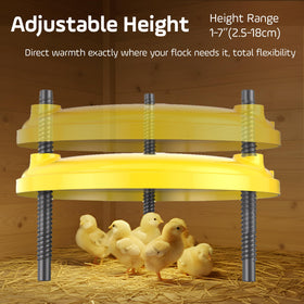 TRIOCOTTAGE Chick Heat Plate adjustable warmth view highlights customizable heat levels
