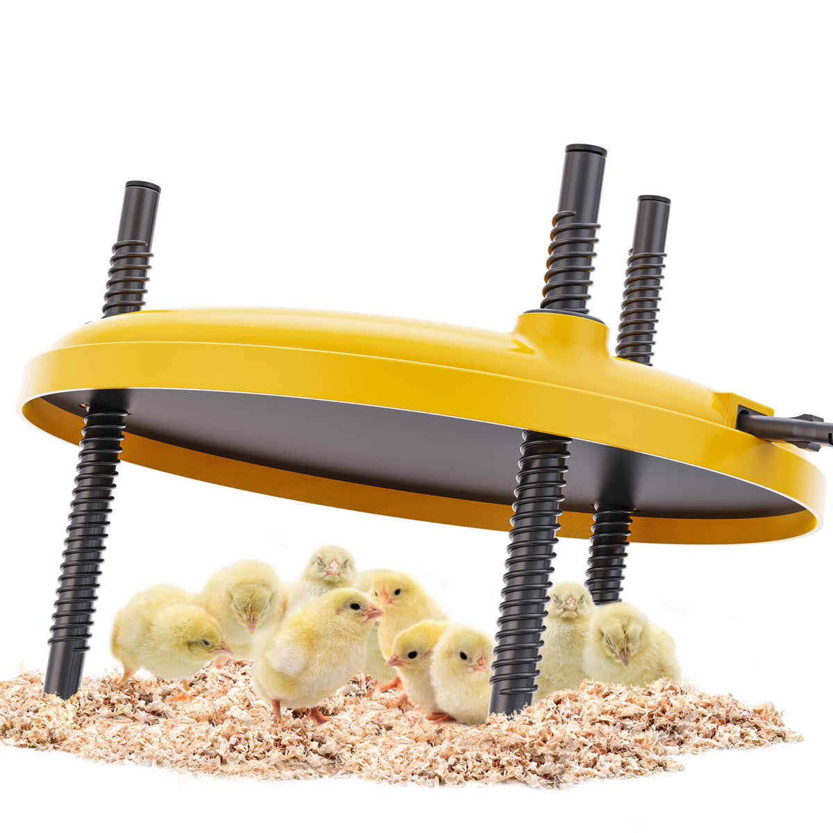 TRIOCOTTAGE Chick Heat Plate top view, compact brooder for chick warmth
