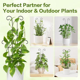 Trlzey gift-ready plant decor pack for plant lovers