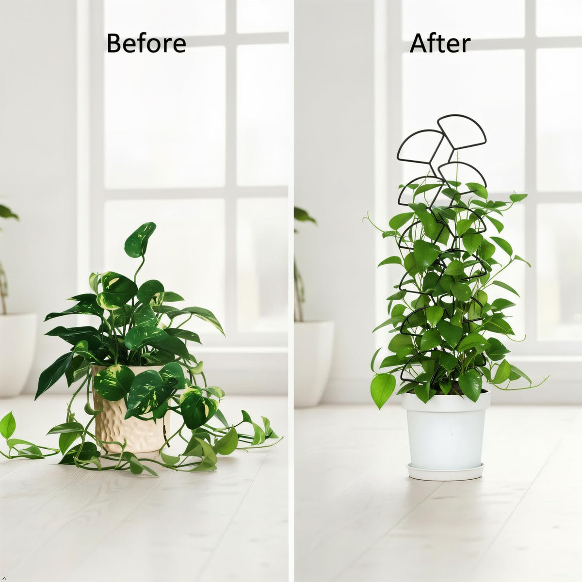Trlzey iron trellis with anti-rust coating resists outdoor weather
