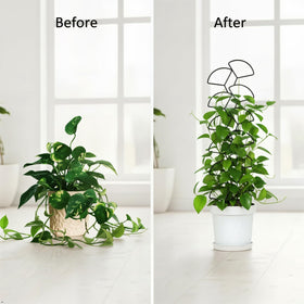 Trlzey iron trellis with anti-rust coating resists outdoor weather