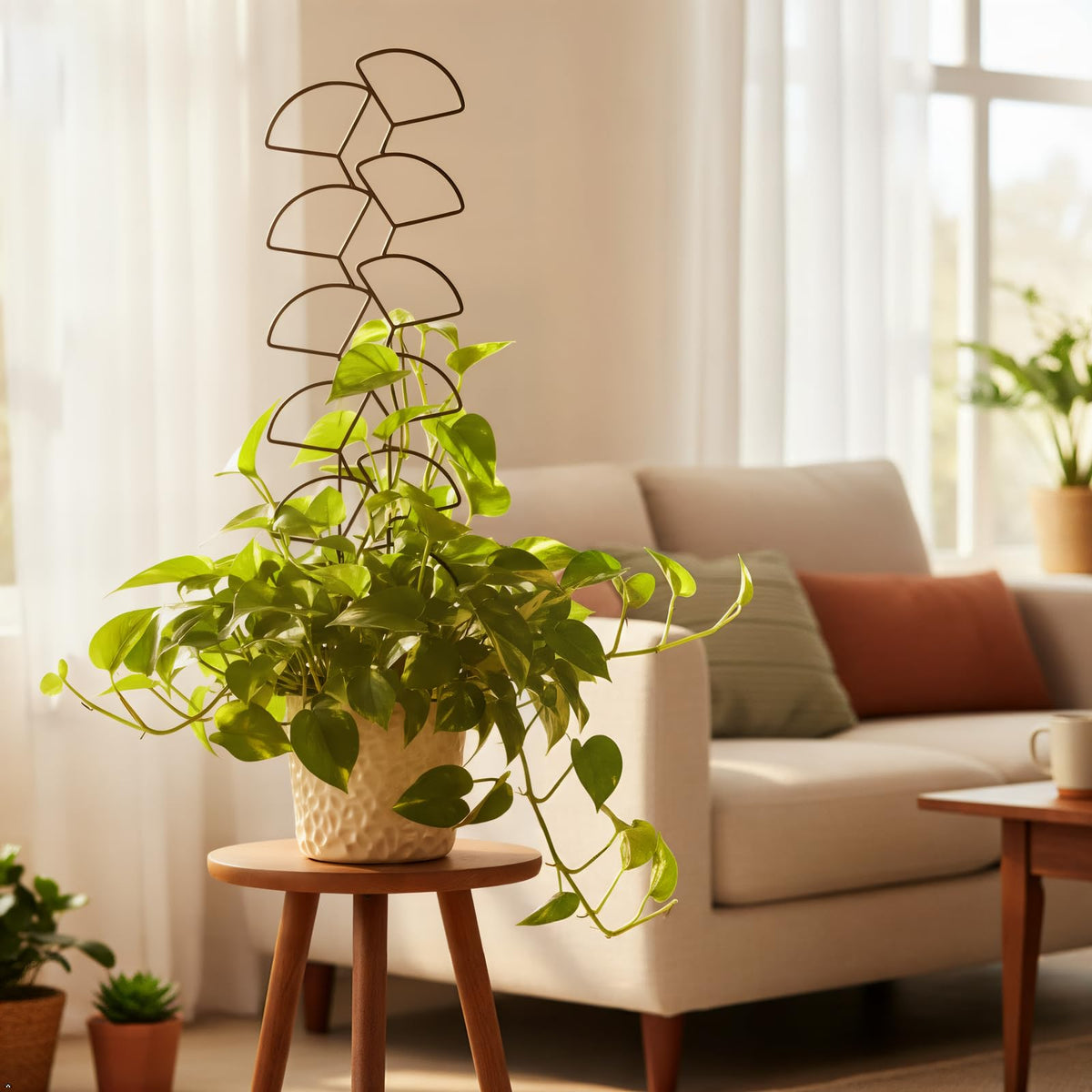 Trlzey plant support keeps stems upright for healthier growth